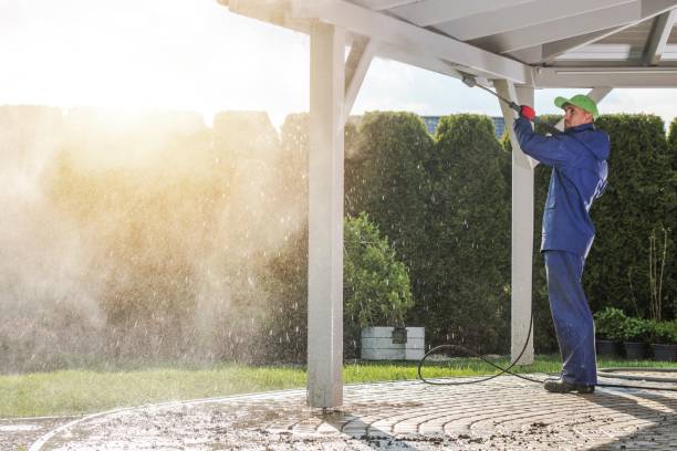 Best Sidewalk and Walkway Cleaning  in Naples, FL